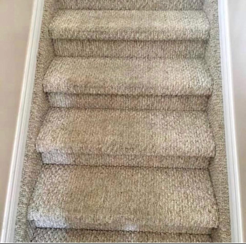 Cleaned carpet